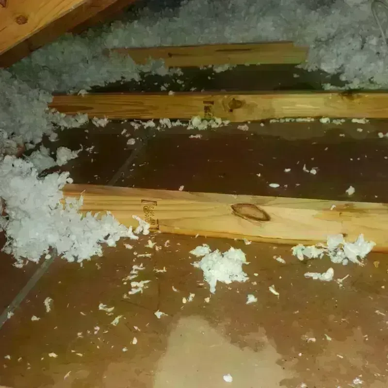 Attic Water Damage in Apple Valley, CA